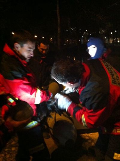 Bomberos de Cuenca rescatan a un cormorán del río Júcar
 
