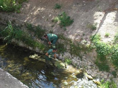 El Ayuntamiento inicia un desbroce especial de las márgenes del río Huécar