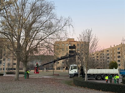 El Ayuntamiento de Cuenca avanza en el Plan de Podas actuando sobre el arbolado de la ciudad para garantizar la seguridad ciudadana