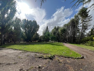 El Ayuntamiento adjudica la instalación de un área infantil en Cañadillas y de zonas caninas en los parques Siglo XXI, Los Moralejos y Los Príncipes