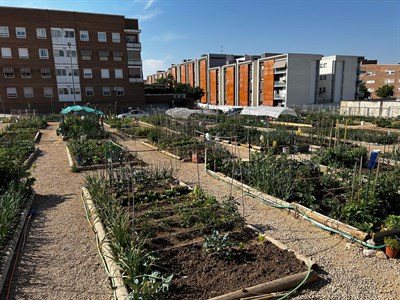 El Ayuntamiento de Cuenca abre la nueva convocatoria de uso de los Huertos Sociales para 2026-2027