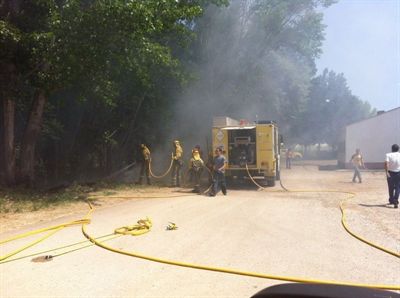 Los bomberos llegan a sofocar 15 incendios de pelusa en un solo día