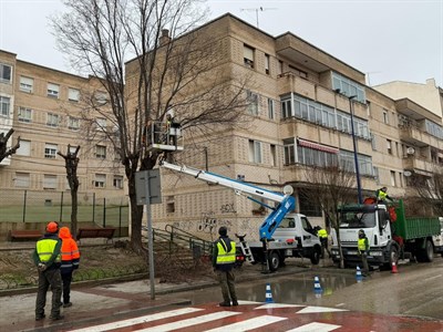 El Plan de Podas del Ayuntamiento de Cuenca continúa su desarrollo con el objetivo de evitar riesgos a la ciudadanía 